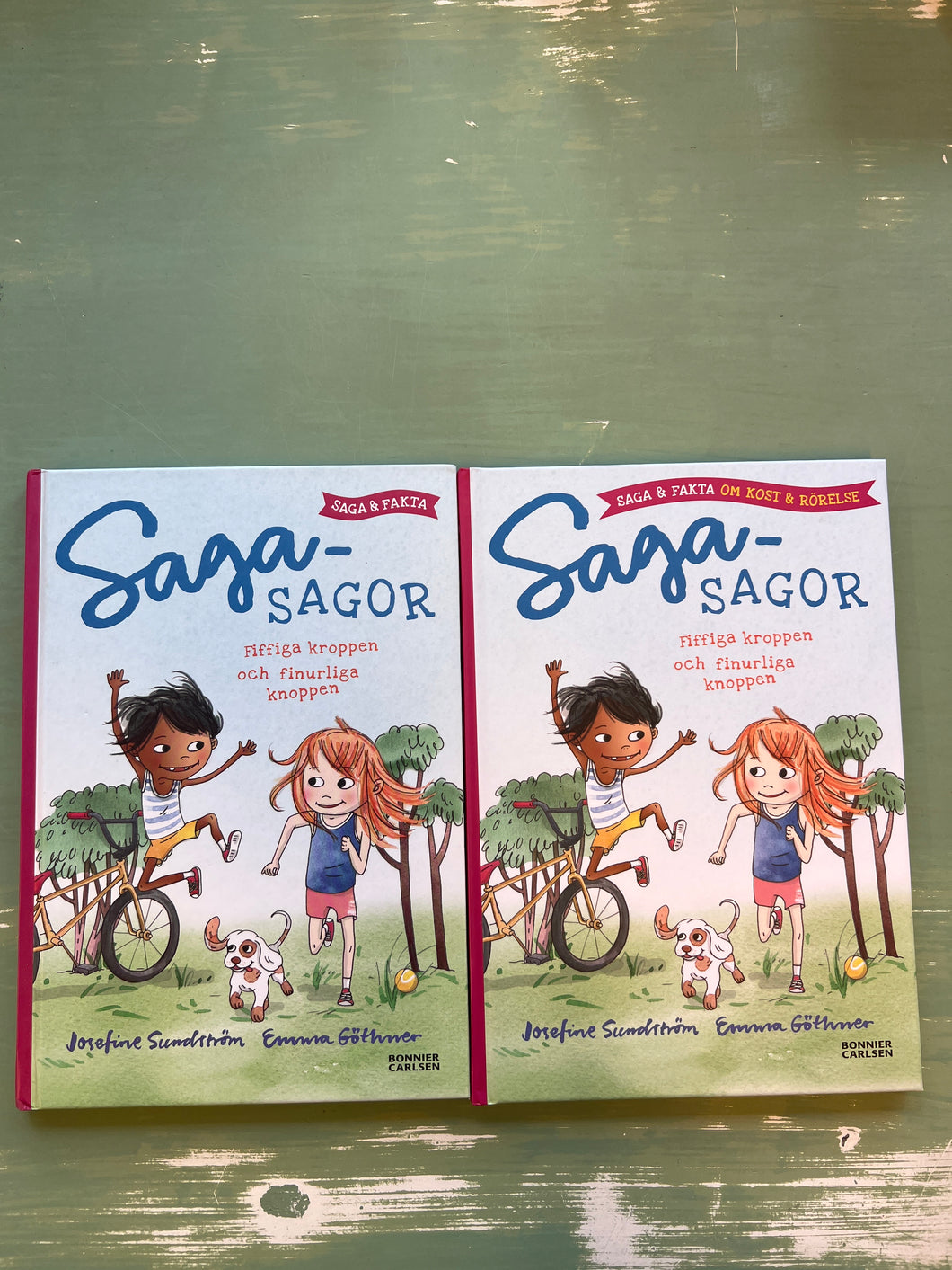 Bok saga-sagor